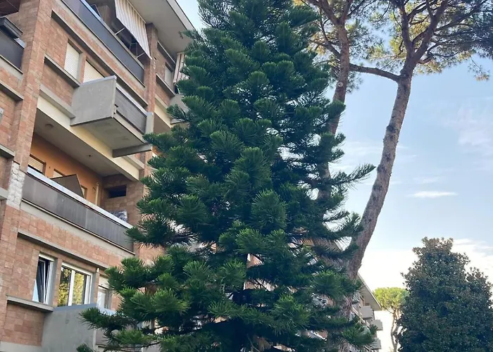 Apartment Bella *
